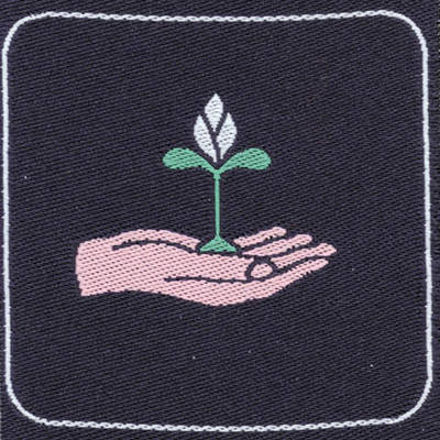 Distintivi EG Competenza