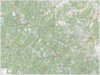 20 - Foreste Casentinesi