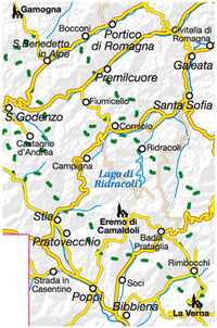 20 - Foreste Casentinesi